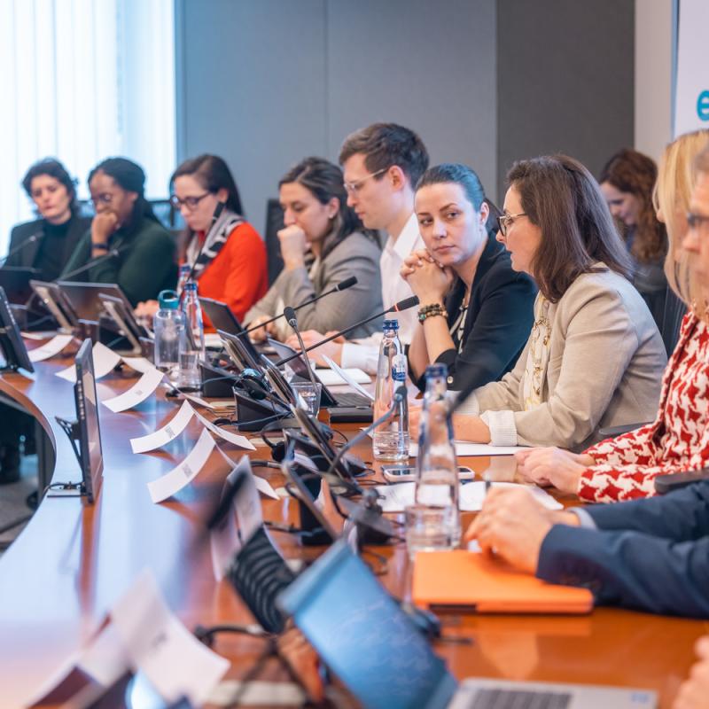 Photo of participants in the EP Hearing